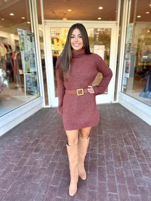 Turtleneck Sweater Dress